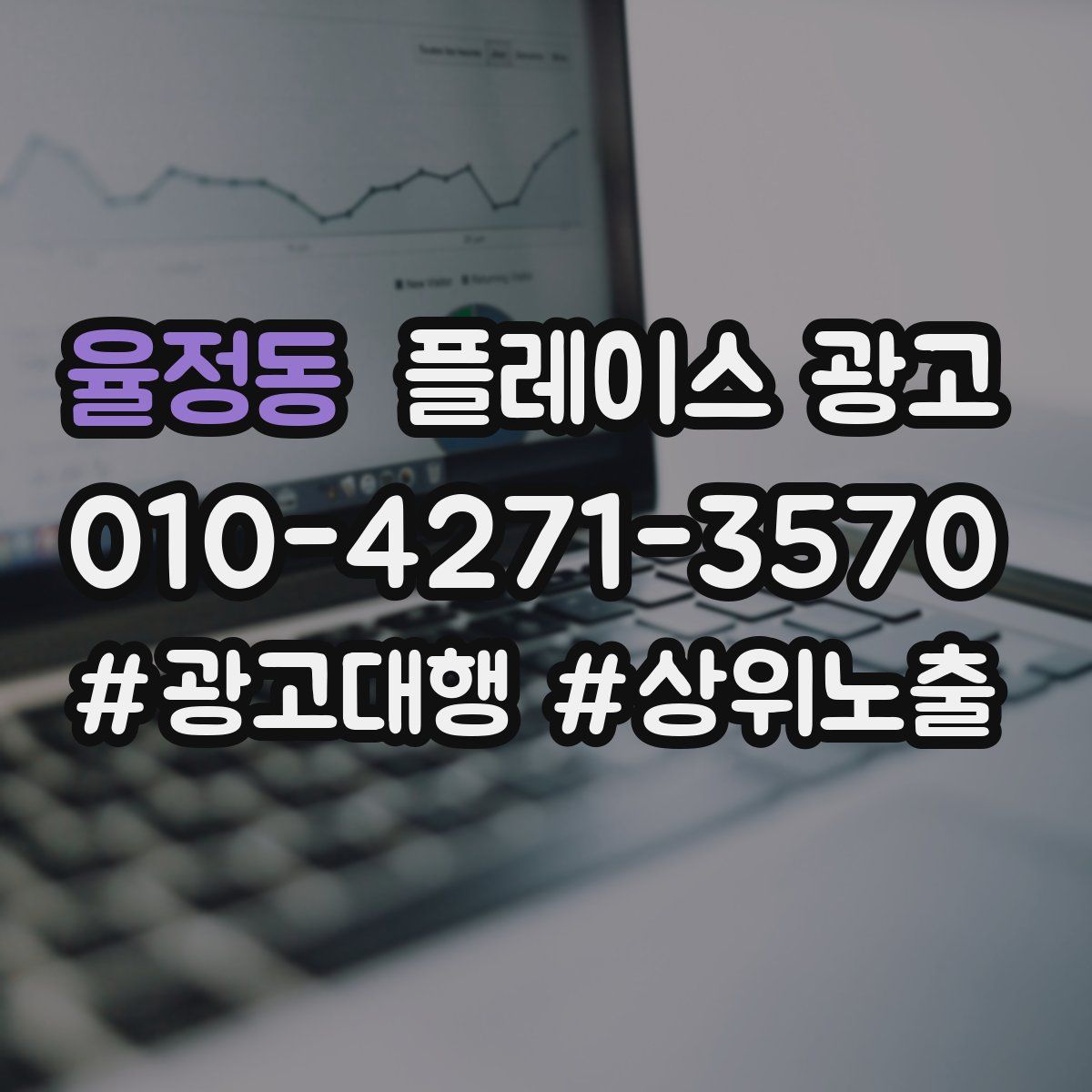 율정동 플레이스 광고