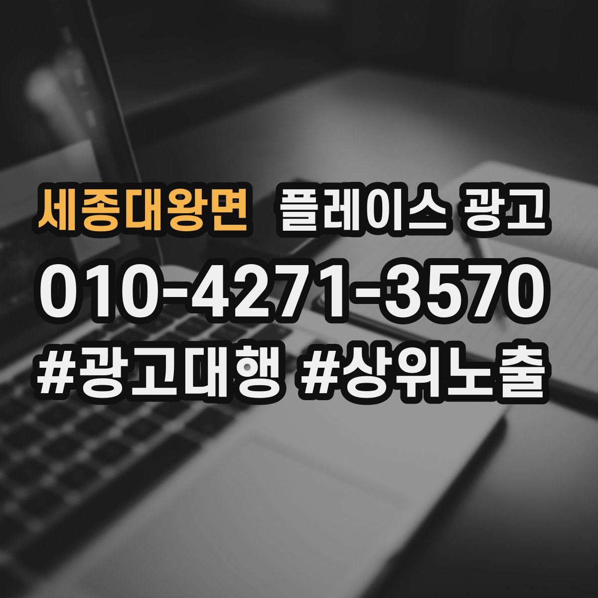 세종대왕면 플레이스 광고