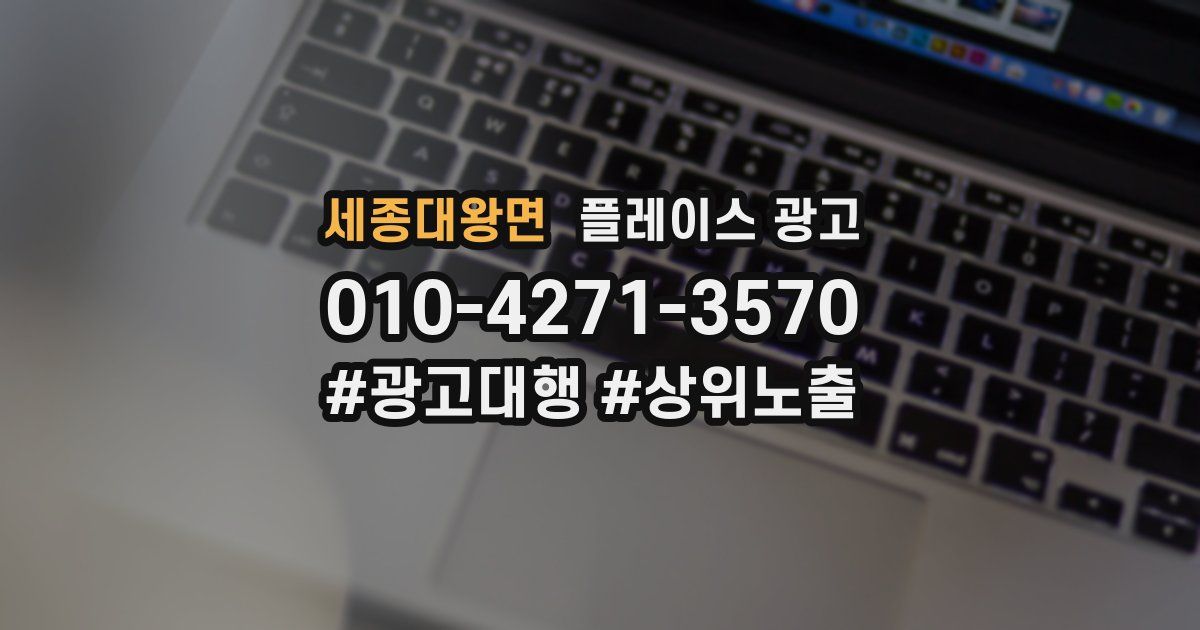 세종대왕면 플레이스 광고