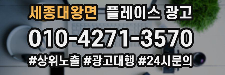 세종대왕면 플레이스 광고
