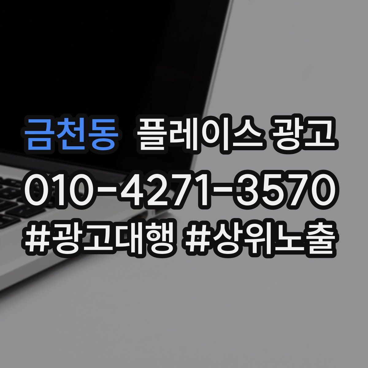 금천동 플레이스 광고