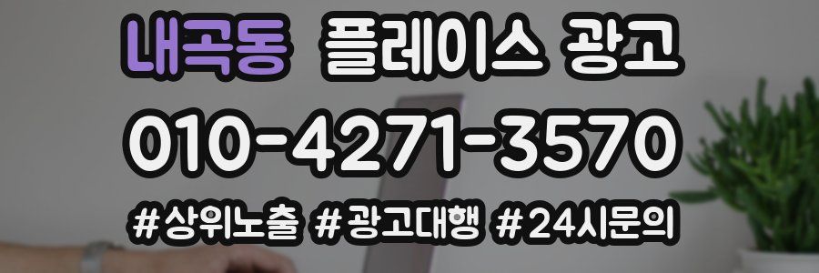 내곡동 플레이스 광고