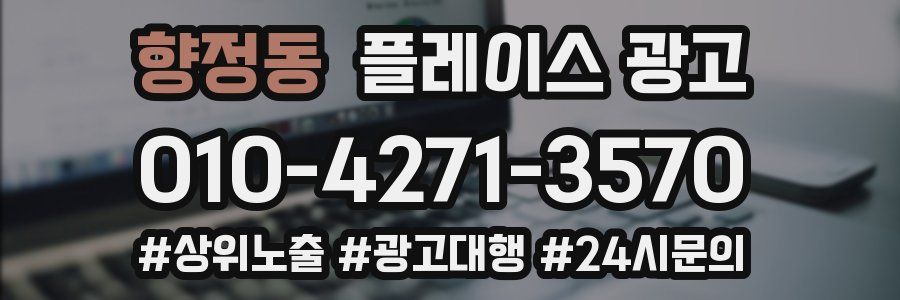 향정동 플레이스 광고