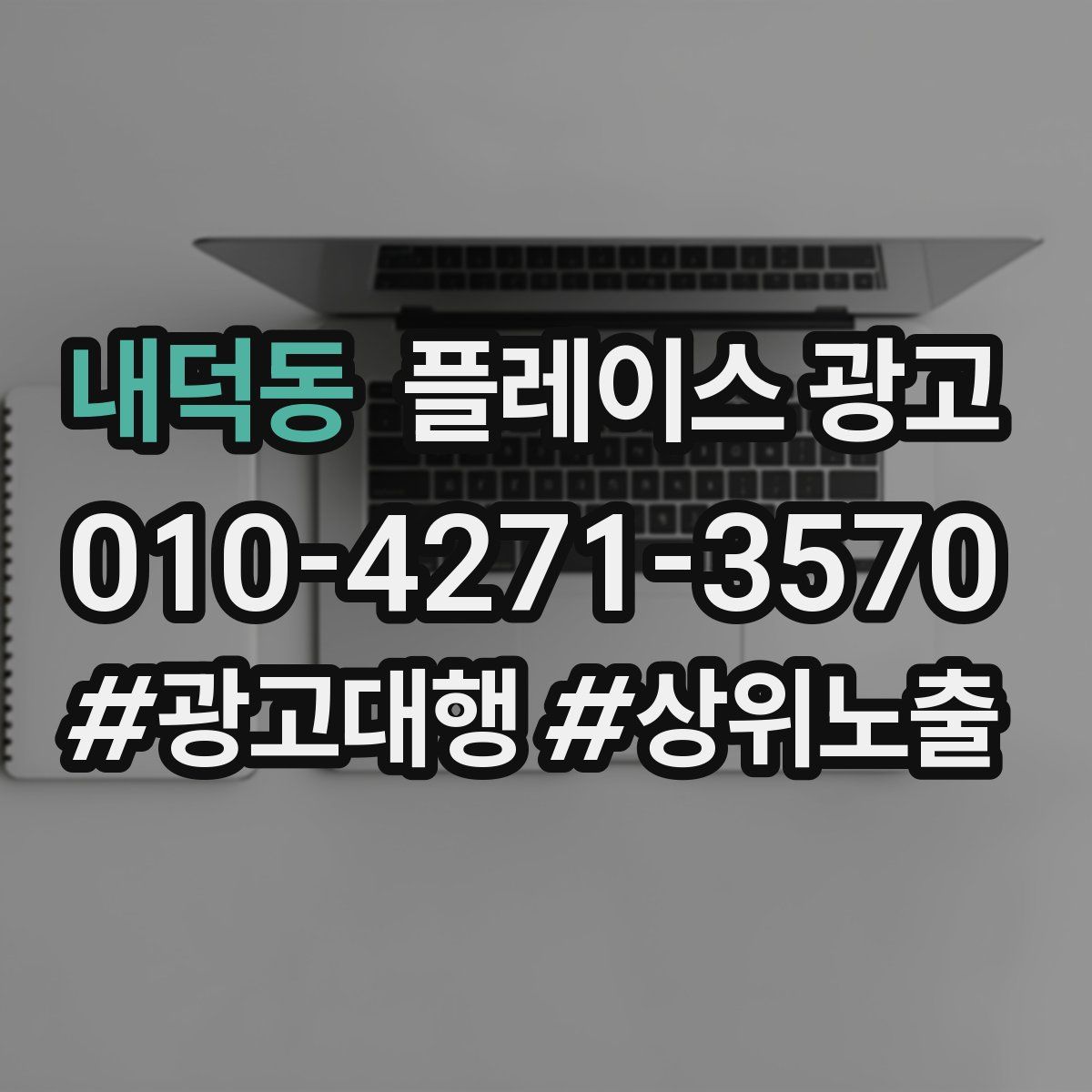 내덕동 플레이스 광고