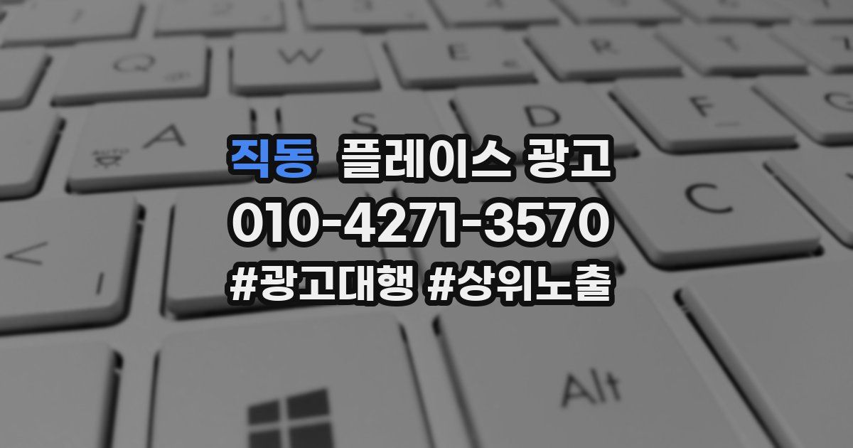 직동 플레이스 광고