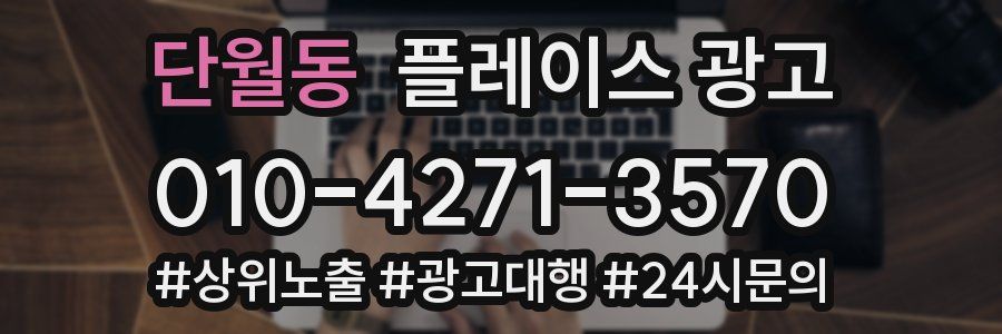 단월동 플레이스 광고