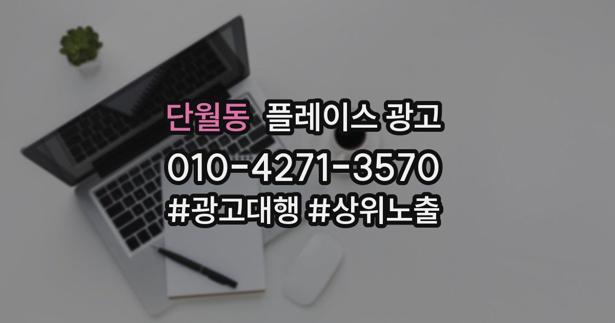 단월동 플레이스 광고