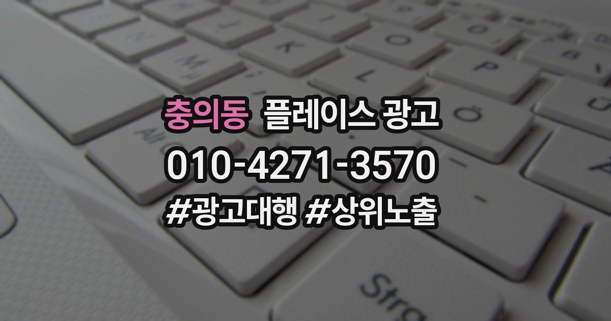 충의동 플레이스 광고