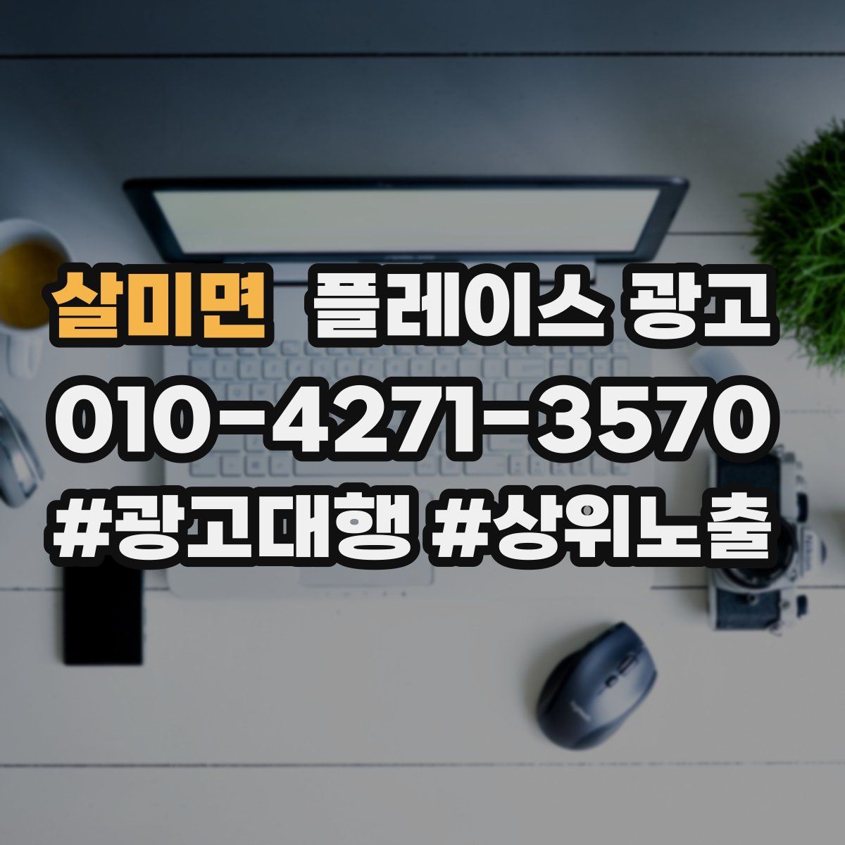 살미면 플레이스 광고