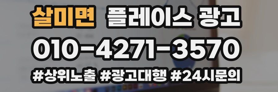 살미면 플레이스 광고