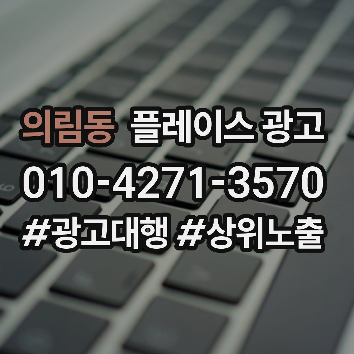 의림동 플레이스 광고