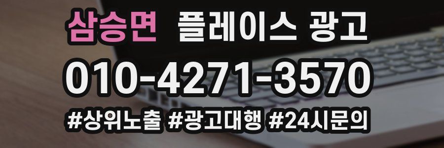 삼승면 플레이스 광고