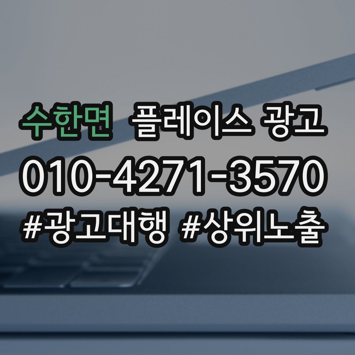 수한면 플레이스 광고