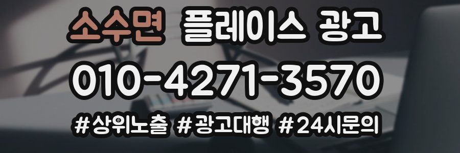 소수면 플레이스 광고
