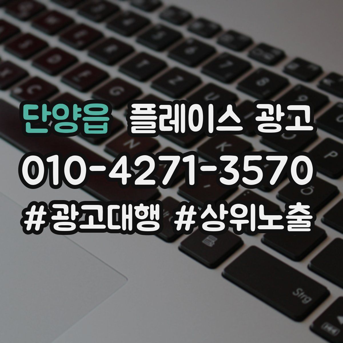 단양읍 플레이스 광고