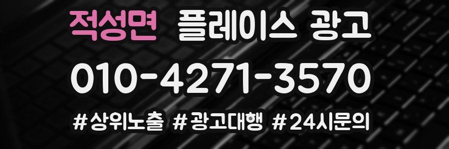적성면 플레이스 광고