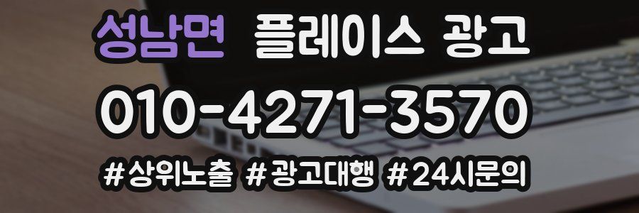 성남면 플레이스 광고