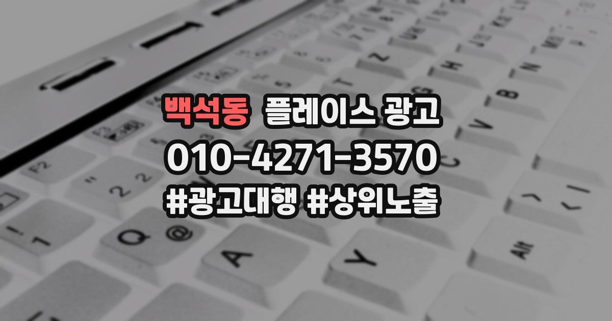 백석동 플레이스 광고