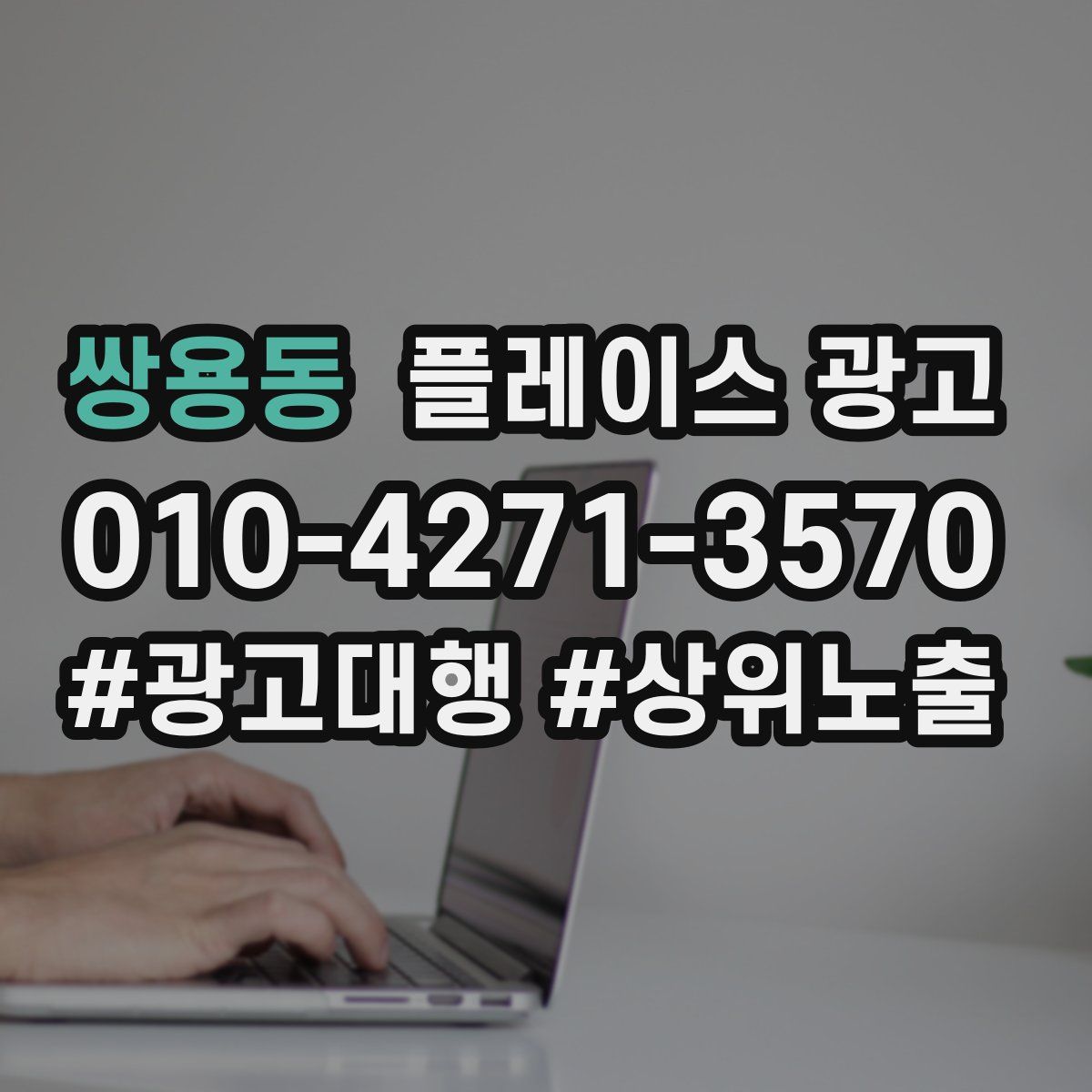 쌍용동 플레이스 광고