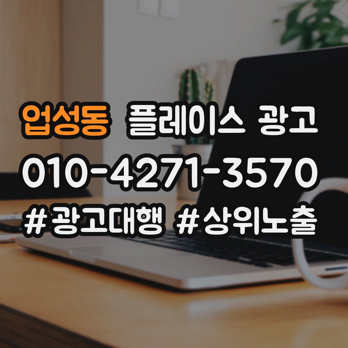 업성동 플레이스 광고