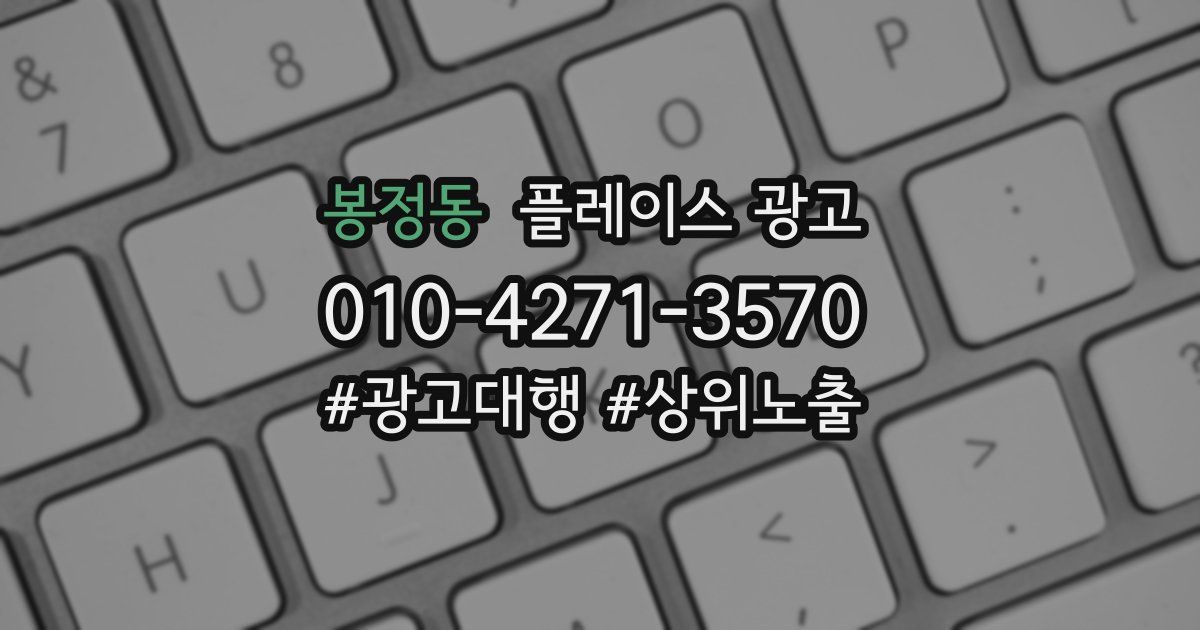 봉정동 플레이스 광고