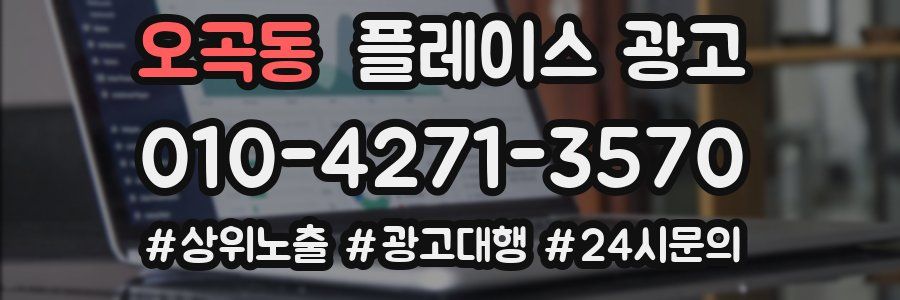 오곡동 플레이스 광고