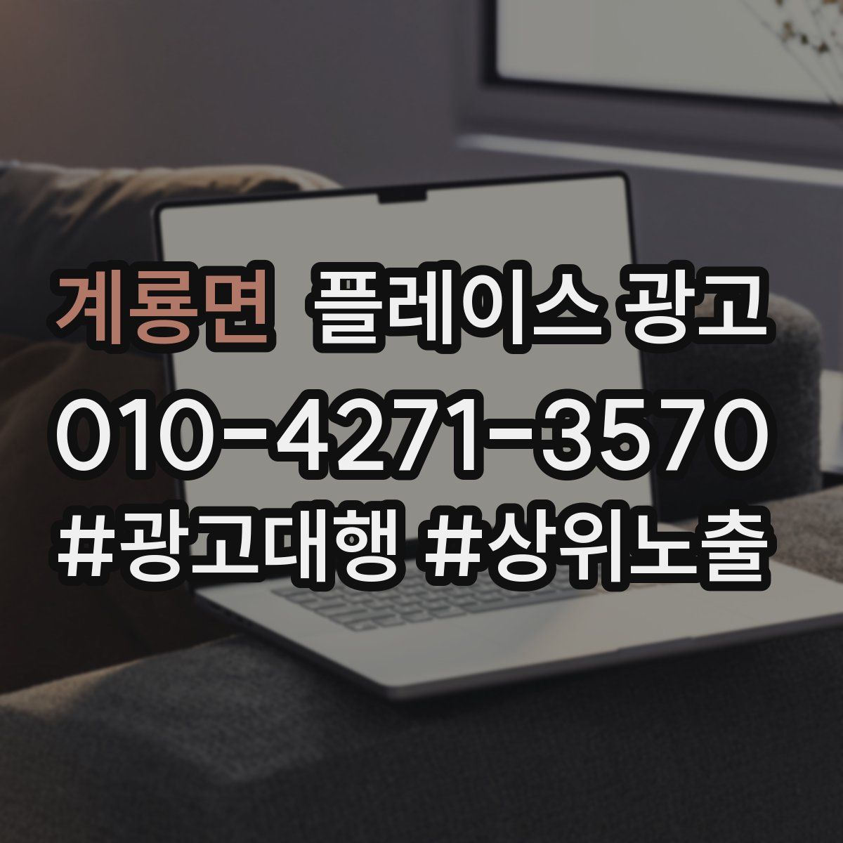 계룡면 플레이스 광고