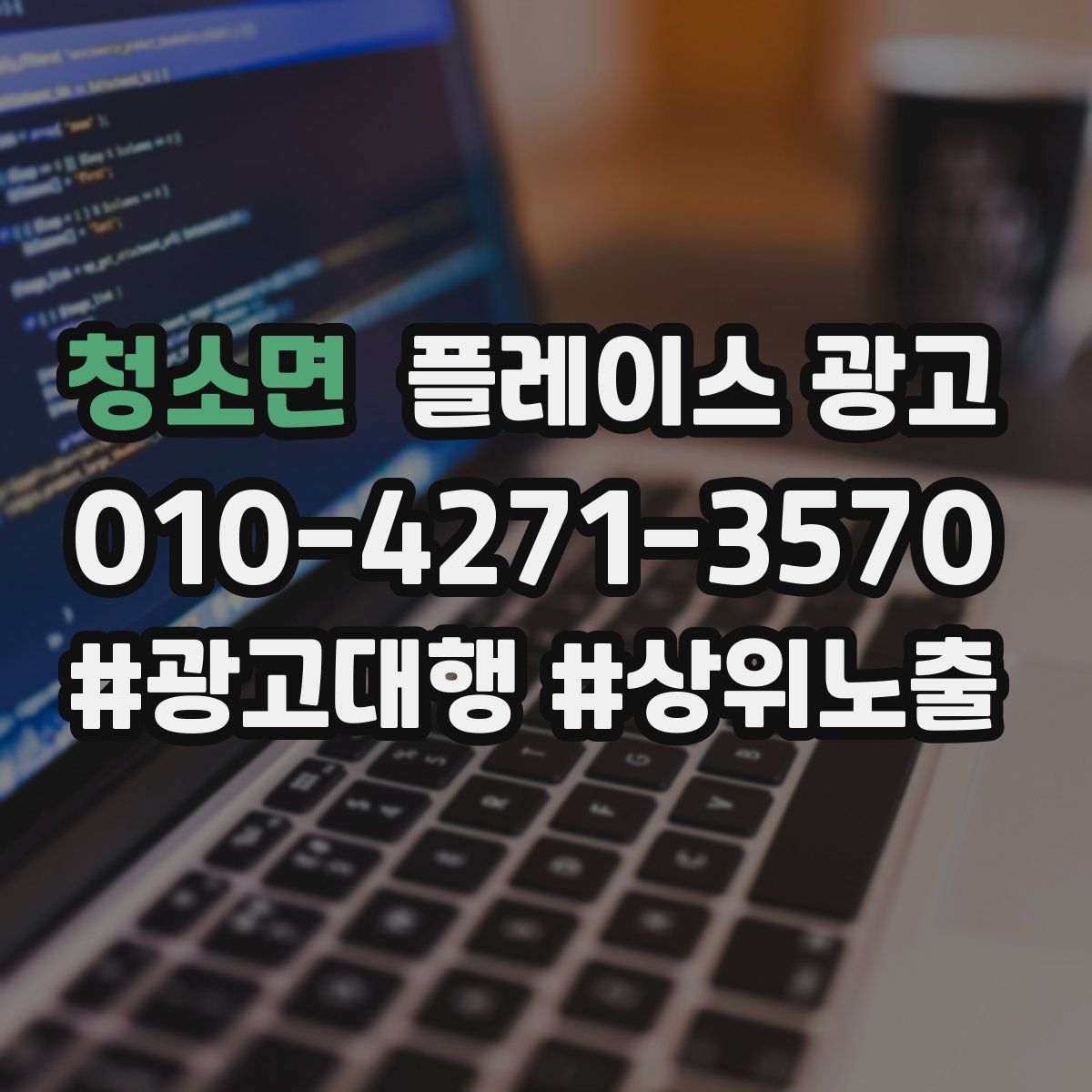 청소면 플레이스 광고