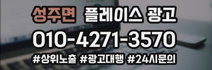 성주면 플레이스 광고