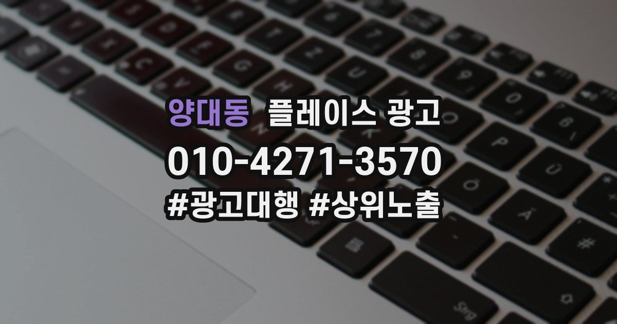 양대동 플레이스 광고
