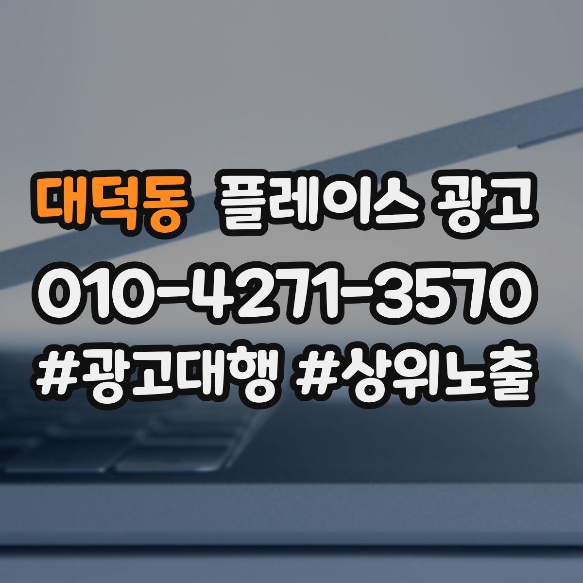 대덕동 플레이스 광고