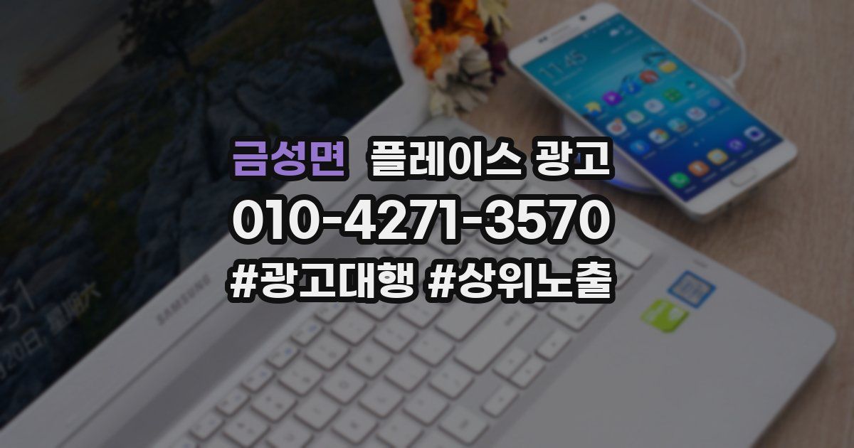 금성면 플레이스 광고