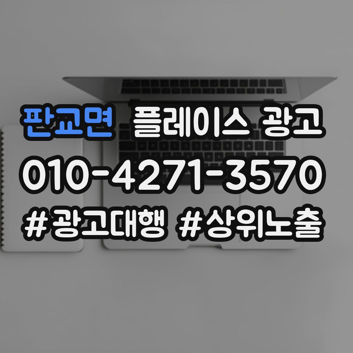 판교면 플레이스 광고