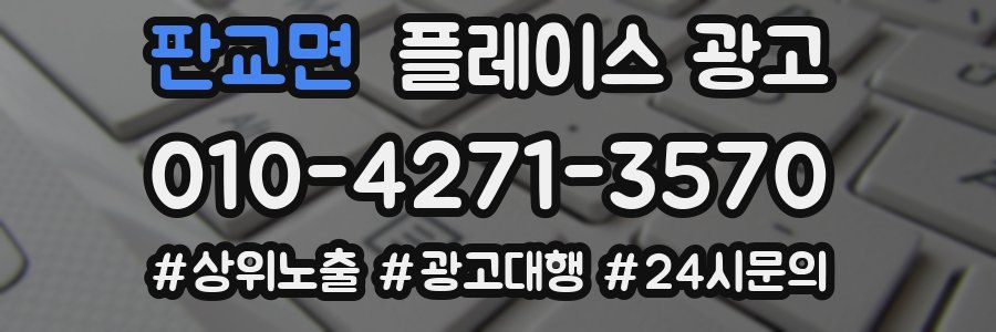 판교면 플레이스 광고