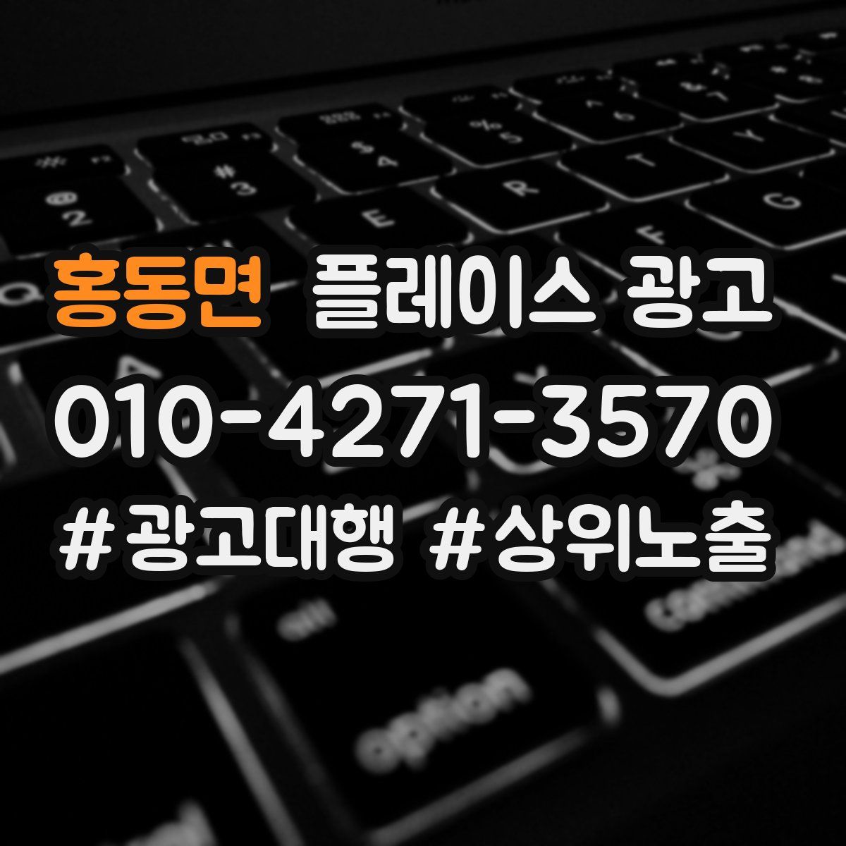 홍동면 플레이스 광고