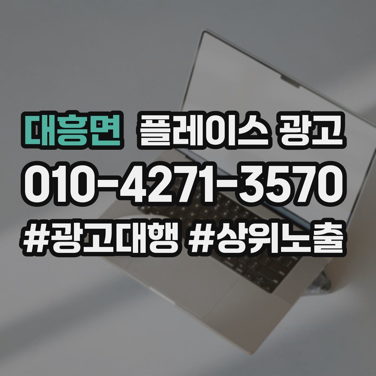 대흥면 플레이스 광고