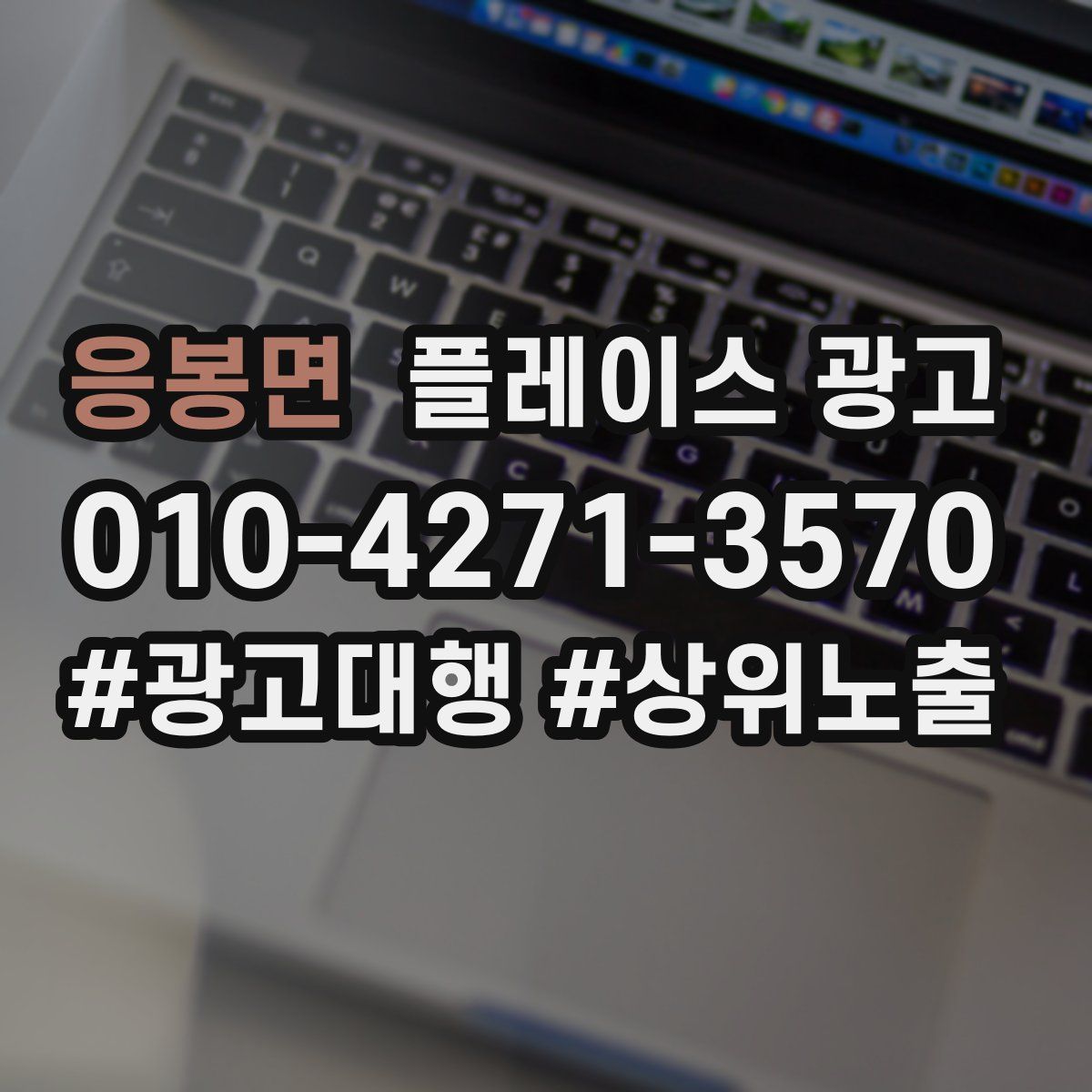 응봉면 플레이스 광고