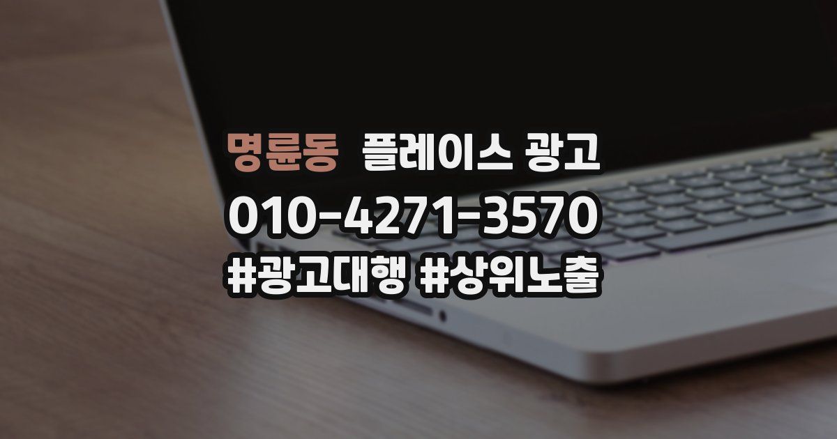 명륜동 플레이스 광고
