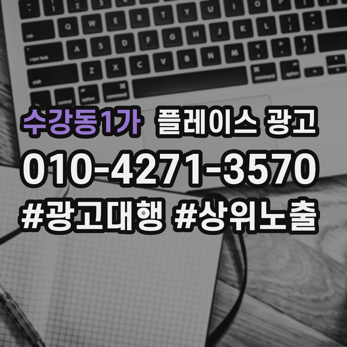 수강동1가 플레이스 광고