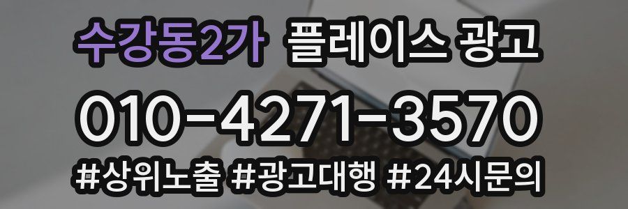 수강동2가 플레이스 광고