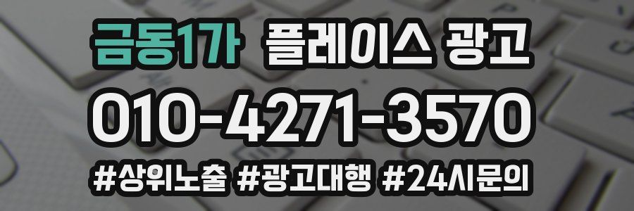 금동1가 플레이스 광고