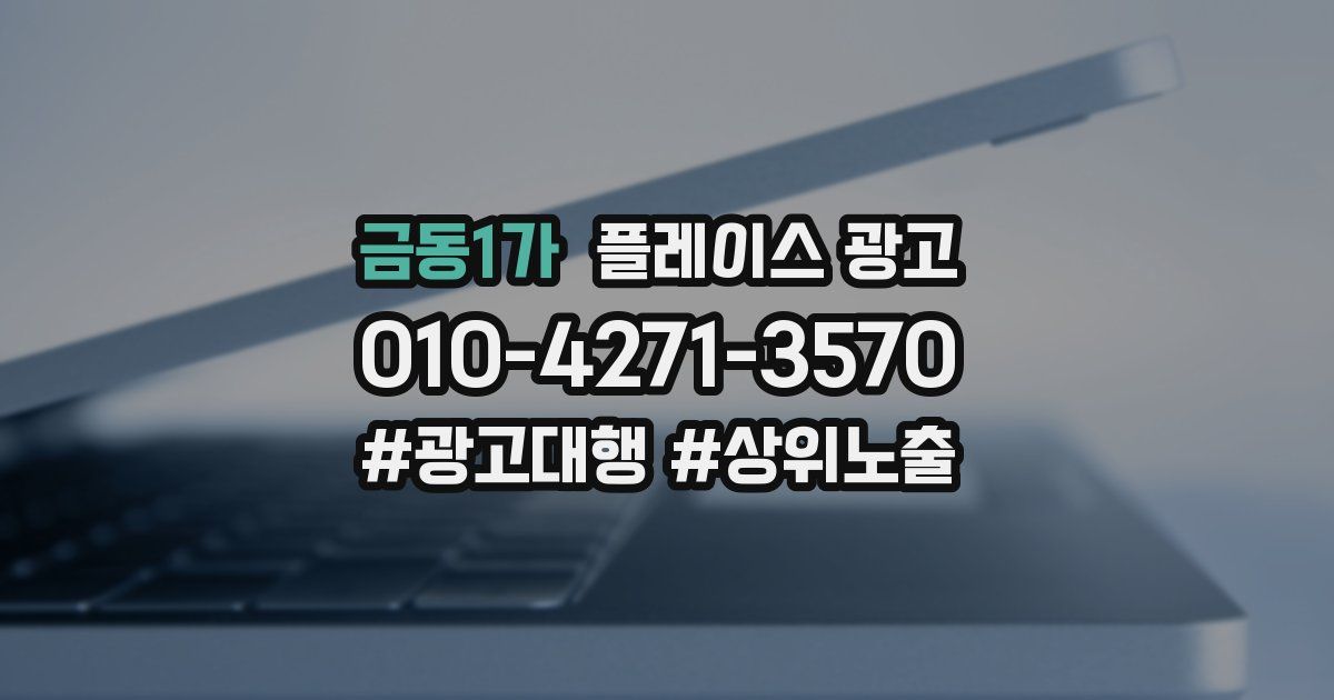 금동1가 플레이스 광고