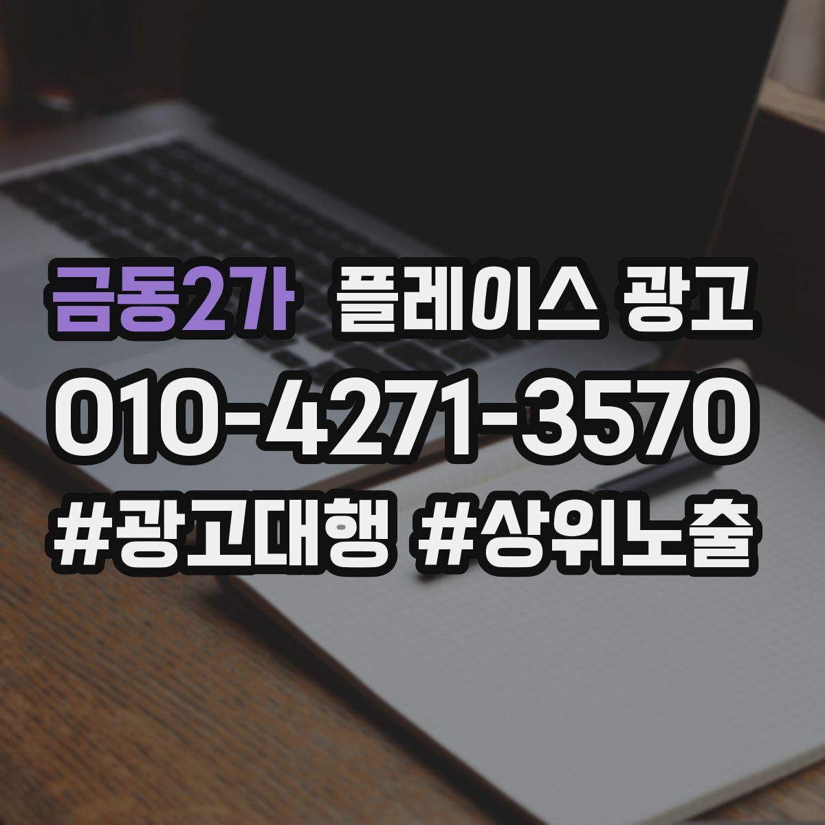 금동2가 플레이스 광고