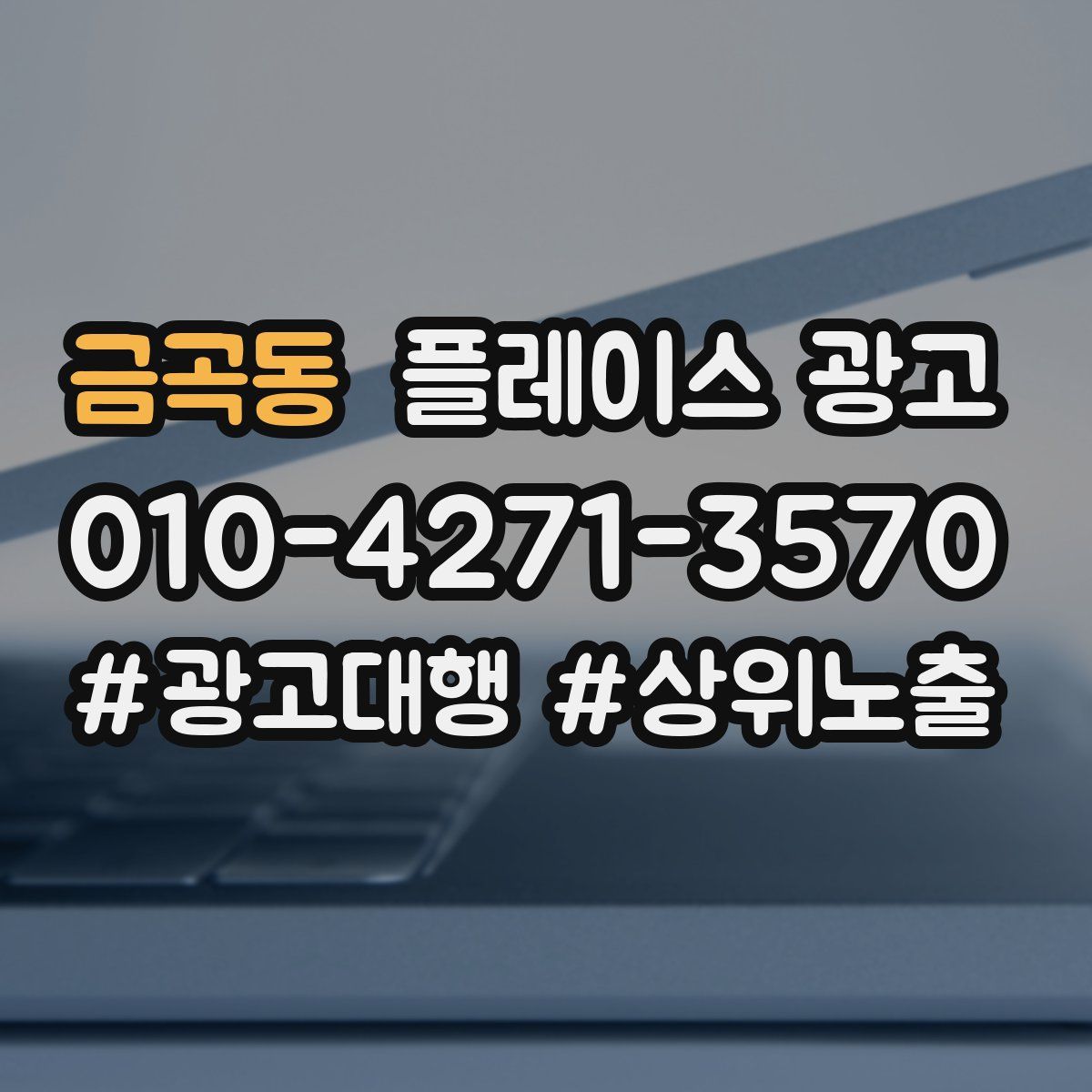 금곡동 플레이스 광고