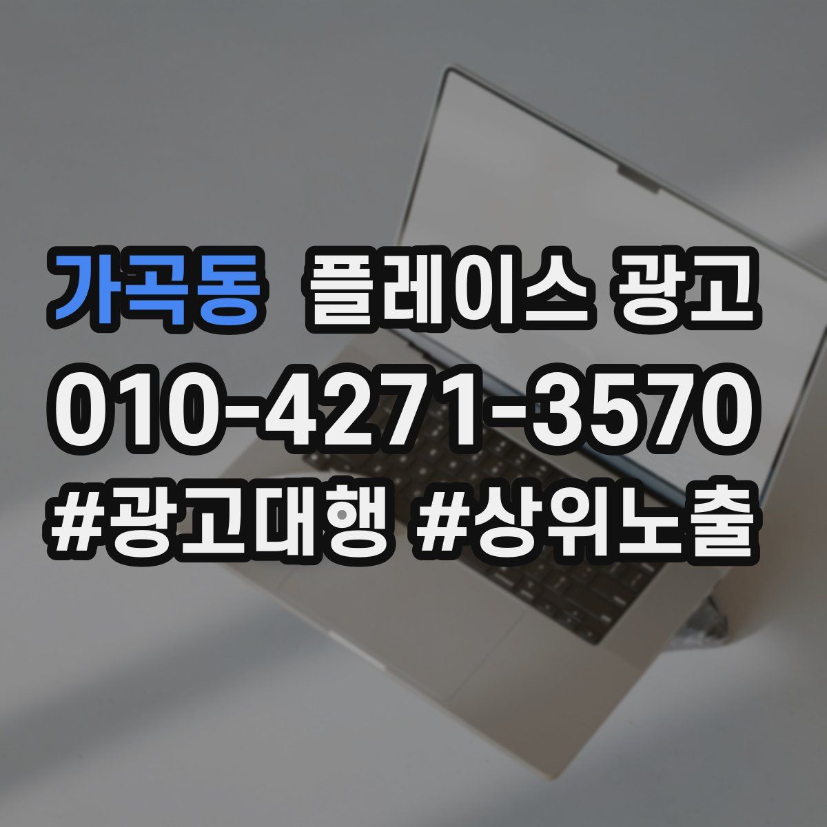 가곡동 플레이스 광고