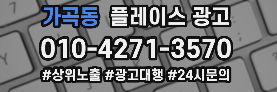 가곡동 플레이스 광고