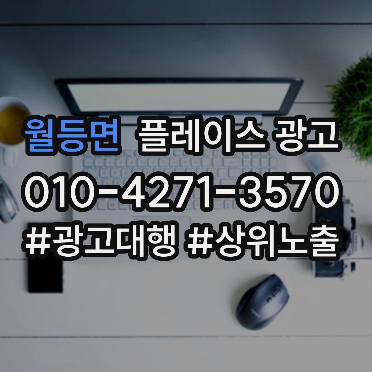 월등면 플레이스 광고