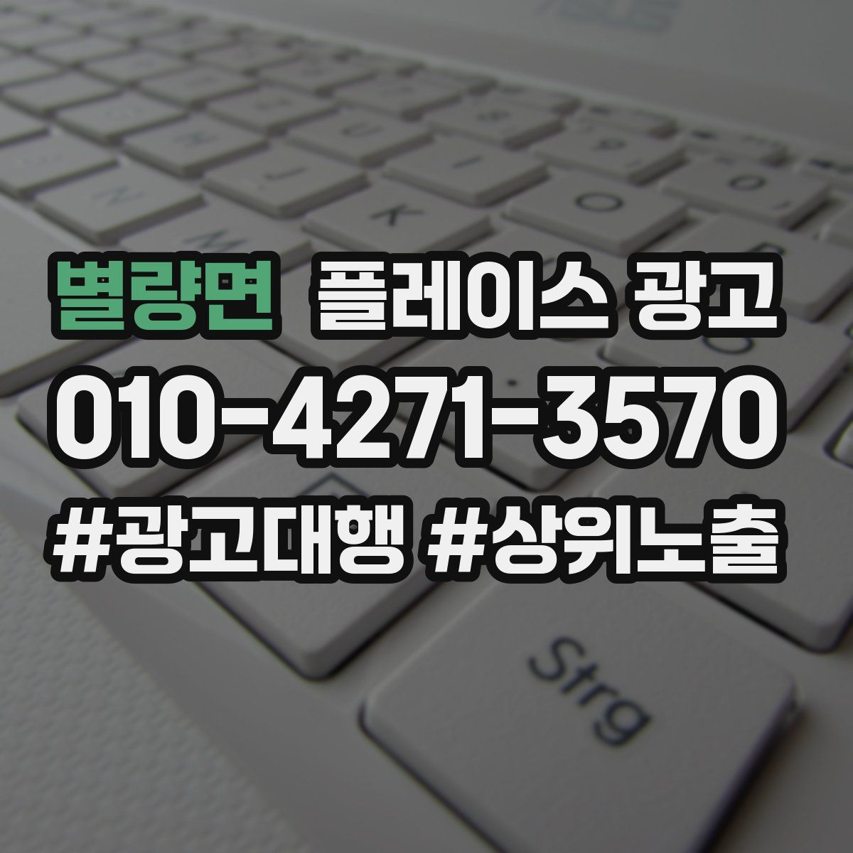 별량면 플레이스 광고