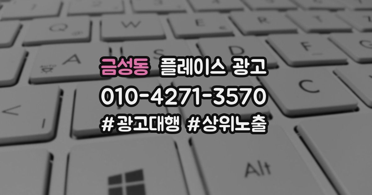 금성동 플레이스 광고
