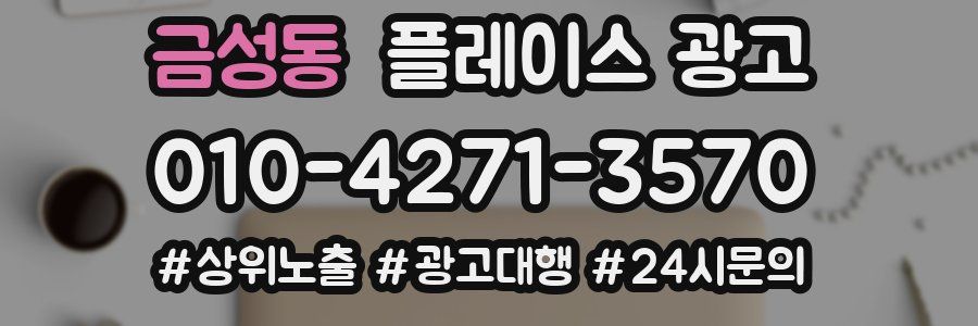 금성동 플레이스 광고